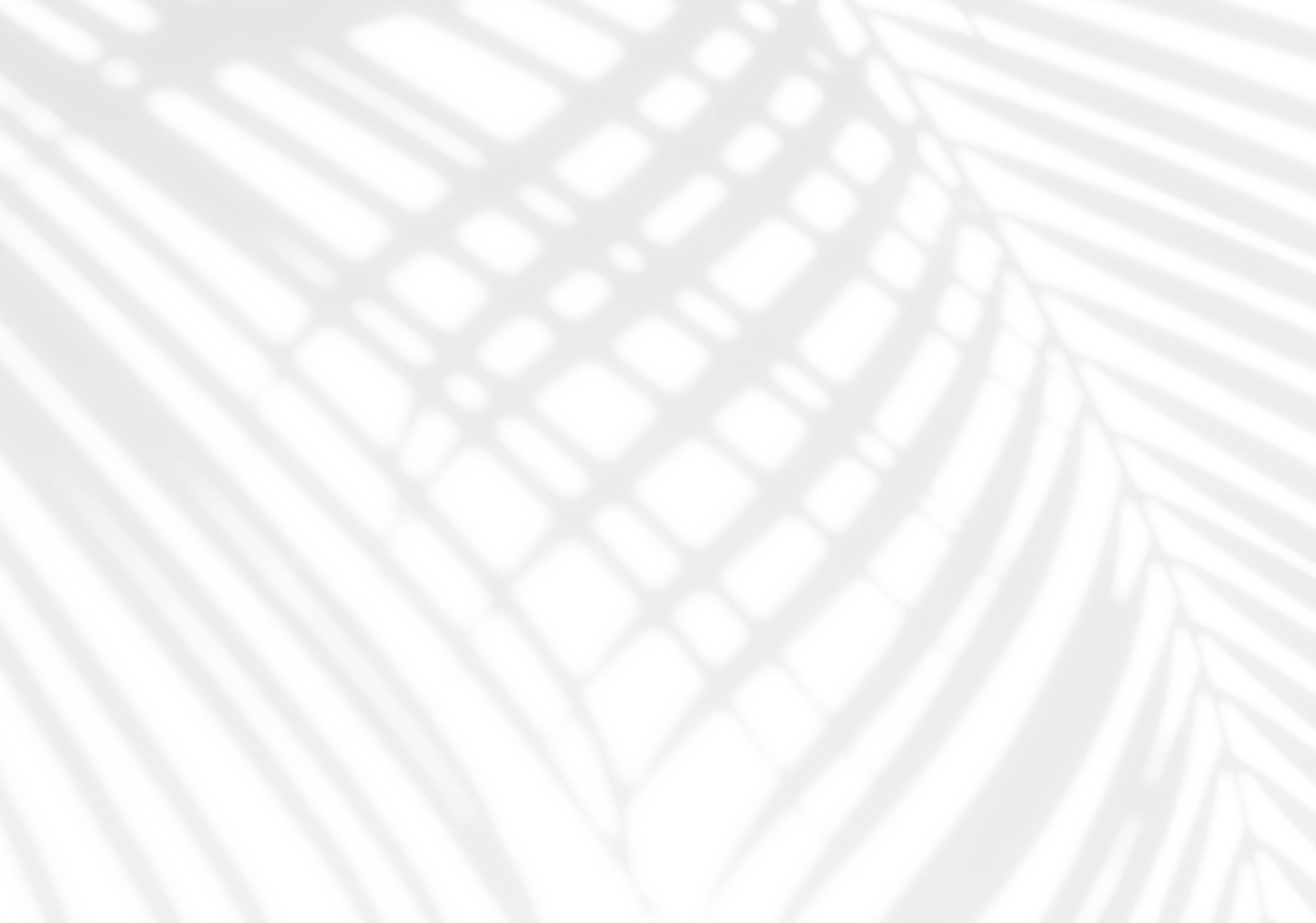 Shadows of palm leaves on white background.